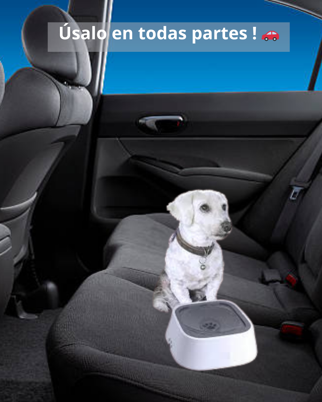 Bowl antisplash para tus mascotas